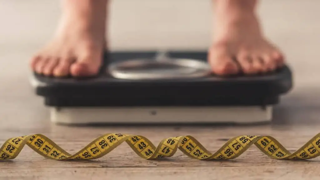 Delicious Meals for Weight Loss That Work (And Taste Great!)